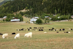 Artvin-13