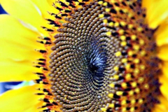 1005686_157894151071107_280098121_n