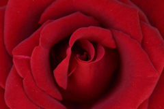 1_8306_113867228807133_1565869742_n