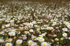 1_943569_146446352215887_1079420662_n