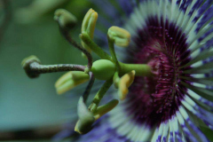 2_429390_113867202140469_485674384_n