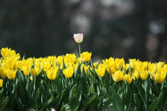 2_553309_115950048598851_1476837283_n