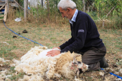 Savsat-Kocabey-Koyu-30