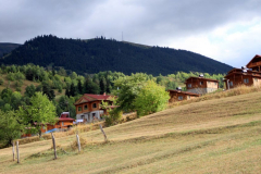 Savsat-Kocabey-Koyu-32