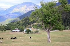 Savsat-Kocabey-Koyu-40