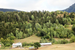 Savsat-Kocabey-Koyu-47