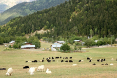 Savsat-Kocabey-Koyu-6