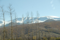 1_097650