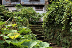 tirebolu_bina_2-scaled