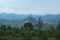 tirebolu_manzara_2