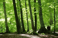 yedi-goller-1-scaled