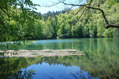 yedi-goller-12-scaled