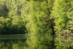 yedi-goller-14-scaled