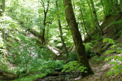 yedi-goller-17-scaled