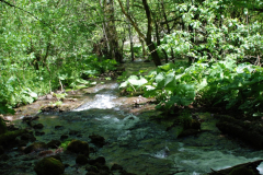 yedi-goller-2-scaled