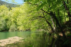 yedi-goller-20-scaled