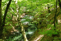 yedi-goller-22-scaled