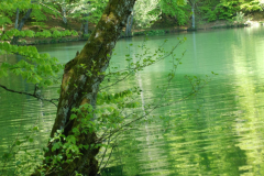 yedi-goller-23-scaled