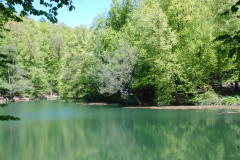 yedi-goller-24-scaled