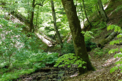 yedi-goller-26-scaled