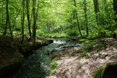 yedi-goller-29-scaled