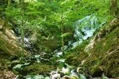 yedi-goller-3-scaled