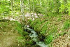 yedi-goller-30-scaled