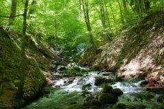 yedi-goller-31-scaled