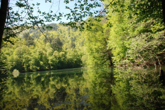 yedi-goller-34-scaled