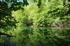 yedi-goller-35-scaled