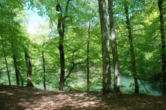 yedi-goller-6-scaled