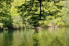 yedi-goller-7-scaled