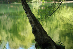 yedi-goller-9-scaled